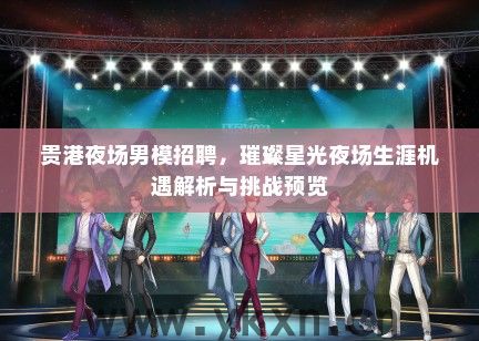 贵港夜场男模招聘，璀璨星光夜场生涯机遇解析与挑战预览